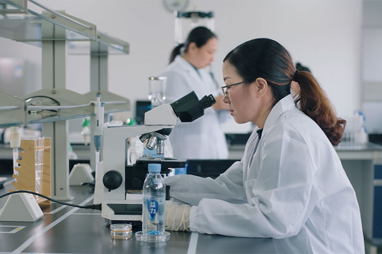 嚴(yán)謹(jǐn)?shù)乃幚砉に噰?yán)控檢驗(yàn)檢疫