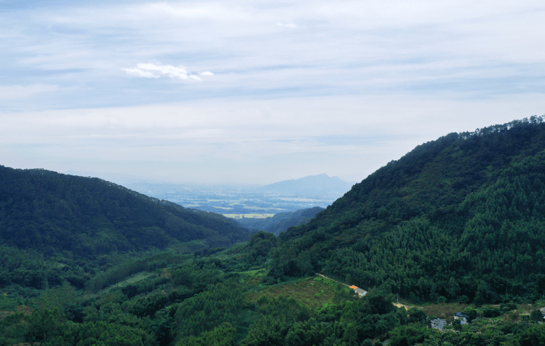 走進益力水廠，探訪山林之中的天然清洌 